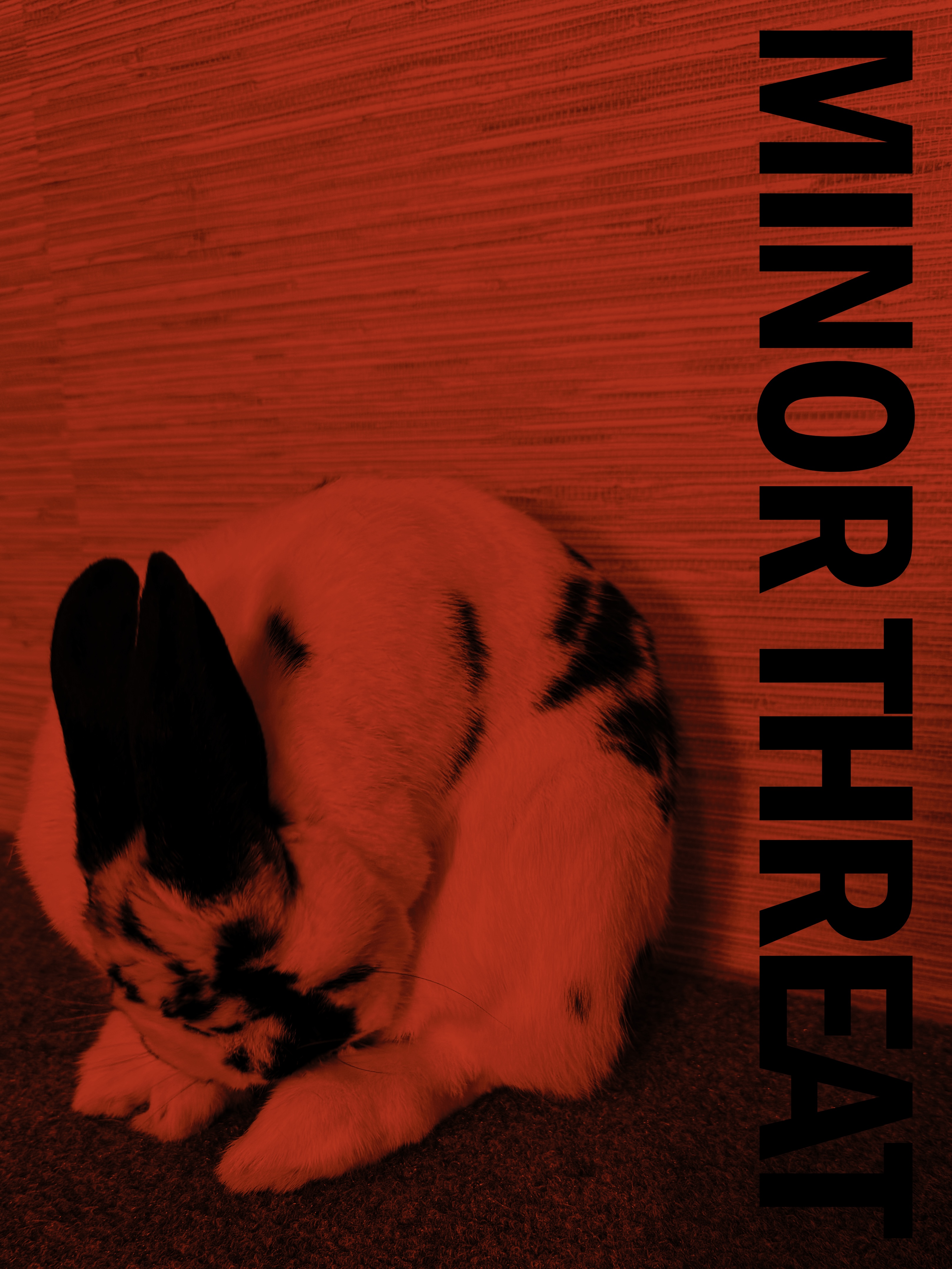 Birdie the bunny