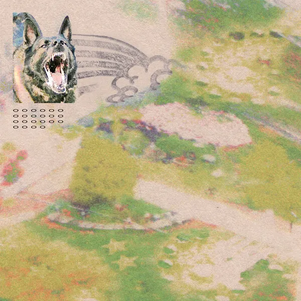 Girl With Fish album cover